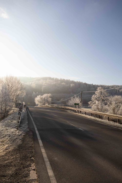 Free A peaceful road amidst frosted trees on a clear winter day. Stock Photo