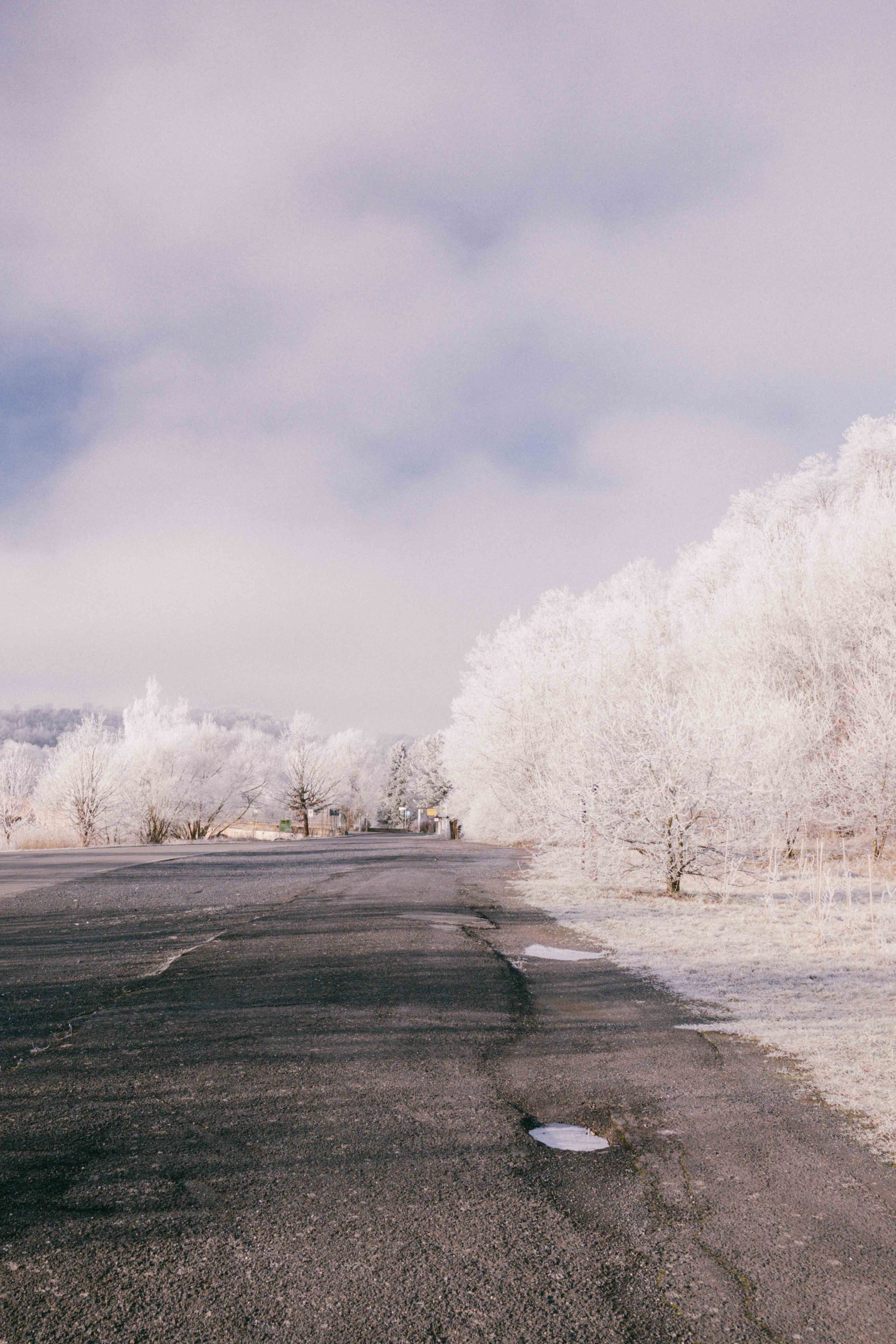 Serene Winter Road with Frost-Covered Trees · Free Stock Photo