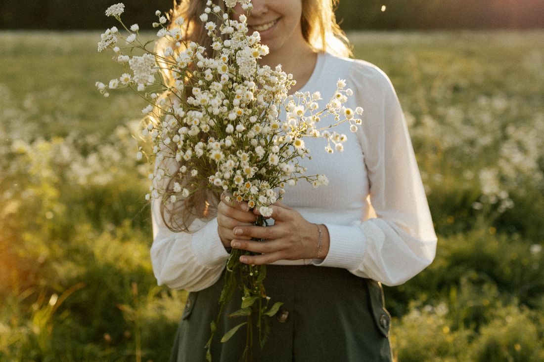 Flores e plantas — imagem ilustrativa
