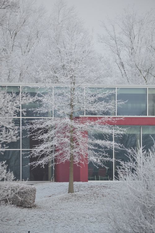 Free A modern glass building surrounded by frost-covered trees in Kassel, Germany. Stock Photo