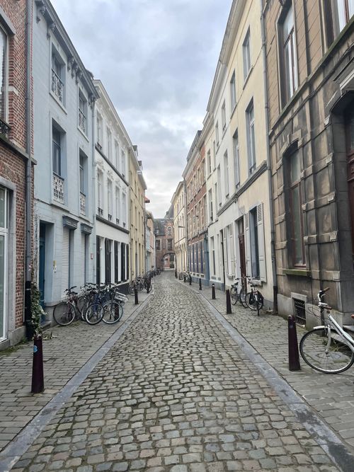 Free A scenic view of a narrow European cobblestone street lined with bicycles and classic architecture. Stock Photo
