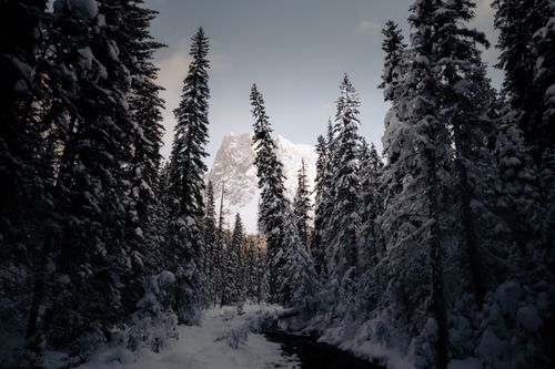 Free Tranquil winter scene with snow-covered forests and mountains in British Columbia. Stock Photo