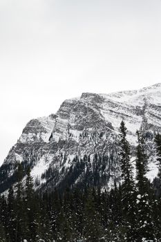 Majestic snowy mountains and evergreen trees at Lake Louise, Alberta, Canada.