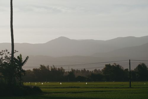 Free Tranquil scene of rice fields with mountain backdrop at dusk, capturing natural beauty and calmness. Stock Photo