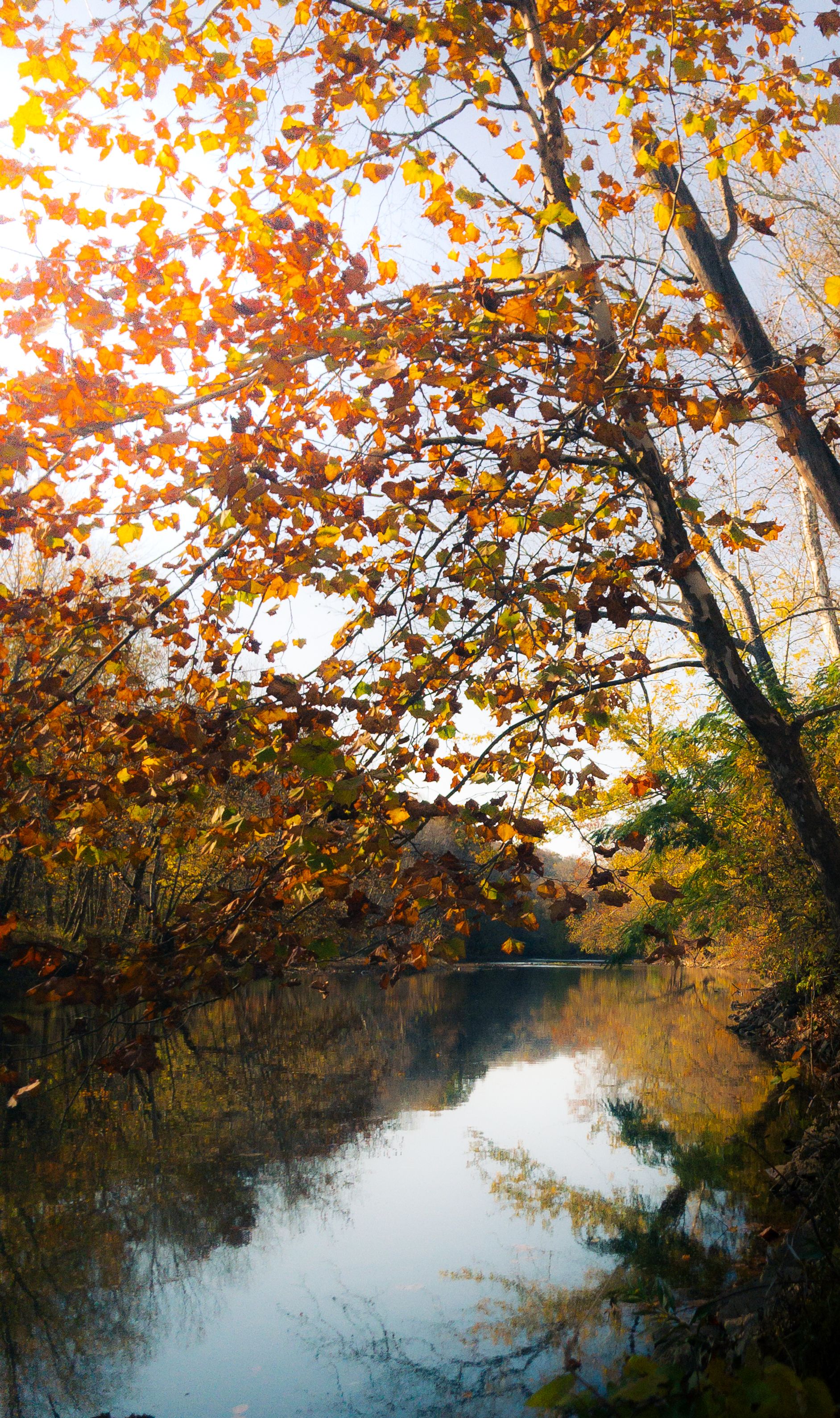 Scenic Autumn View of Reflective River in Ohio · Free Stock Photo
