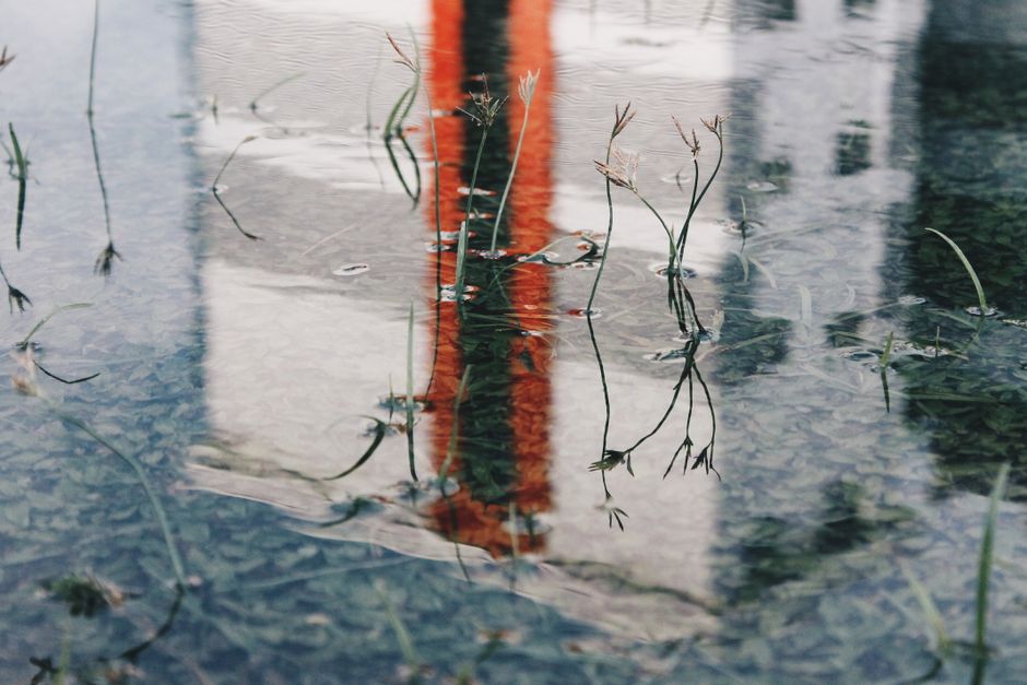 Serene pond reflection capturing grass and a building's vivid coloration.
