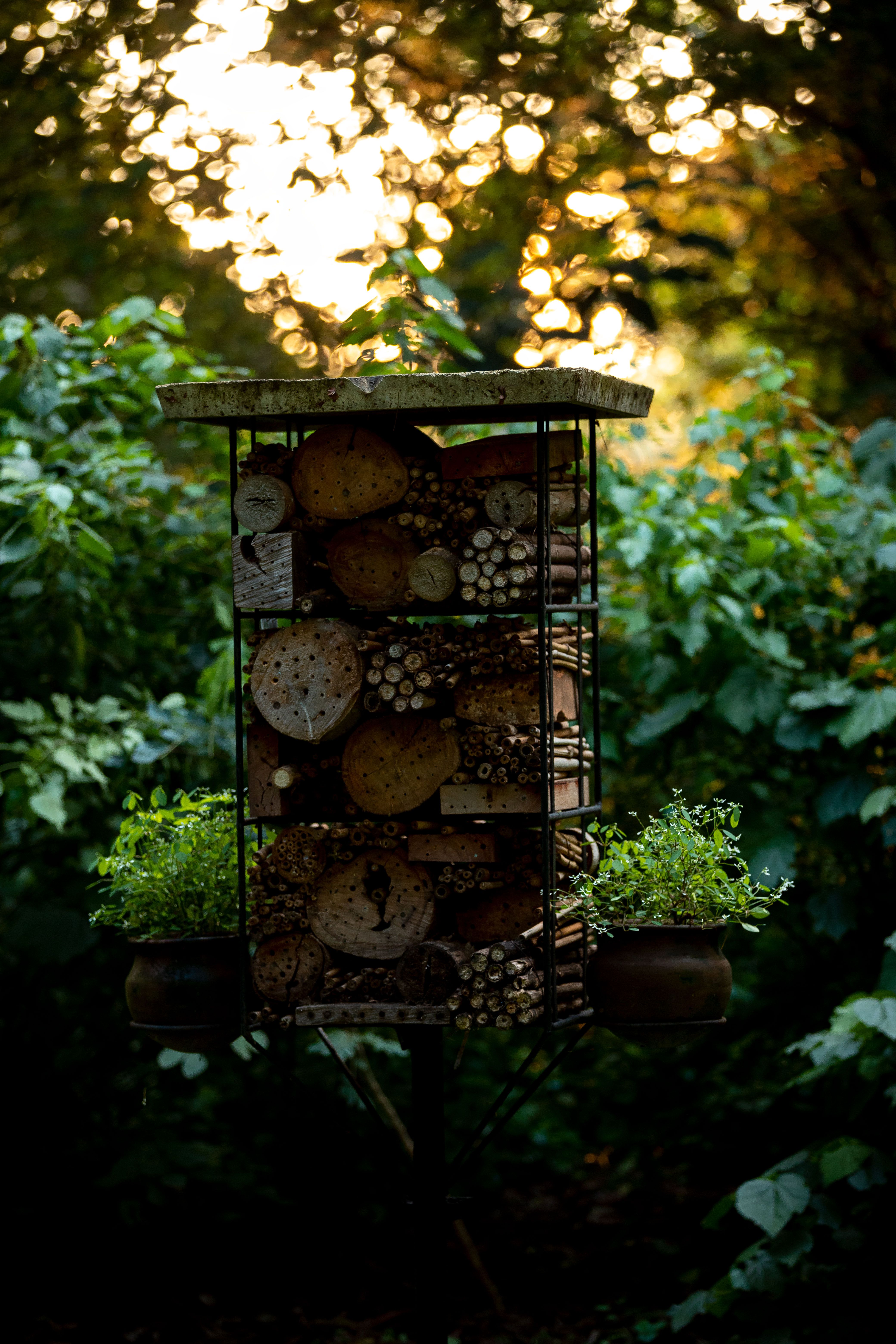Rustic Bug Hotel in Lush Garden Setting · Free Stock Photo