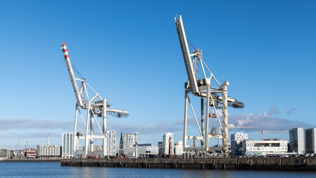 Wide view of shipping cranes against Hamburg skyline under clear blue sky.