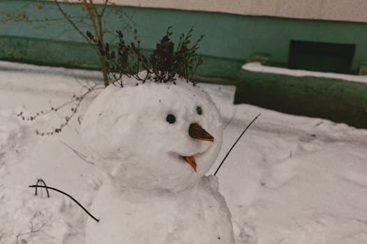 A cheerful snowman with a carrot nose, twig arms, and a crown of twigs in a snowy setting.