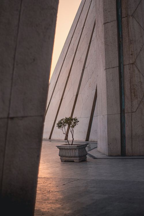 Free A potted plant in front of geometric modern architecture during a sunset, casting long shadows. Stock Photo