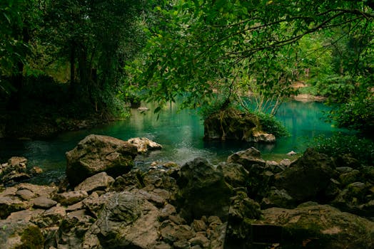 A tranquil river scene surrounded by lush greenery and rocks in Cao Bằng, Vietnam.
