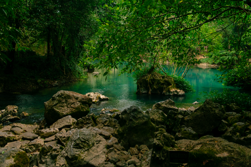 Free A tranquil river scene surrounded by lush greenery and rocks in Cao Bằng, Vietnam. Stock Photo
