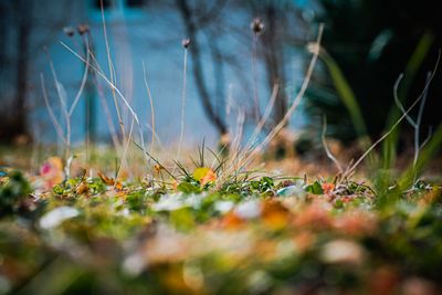 Close Background Photos, Download The BEST Free Close Background Stock ...