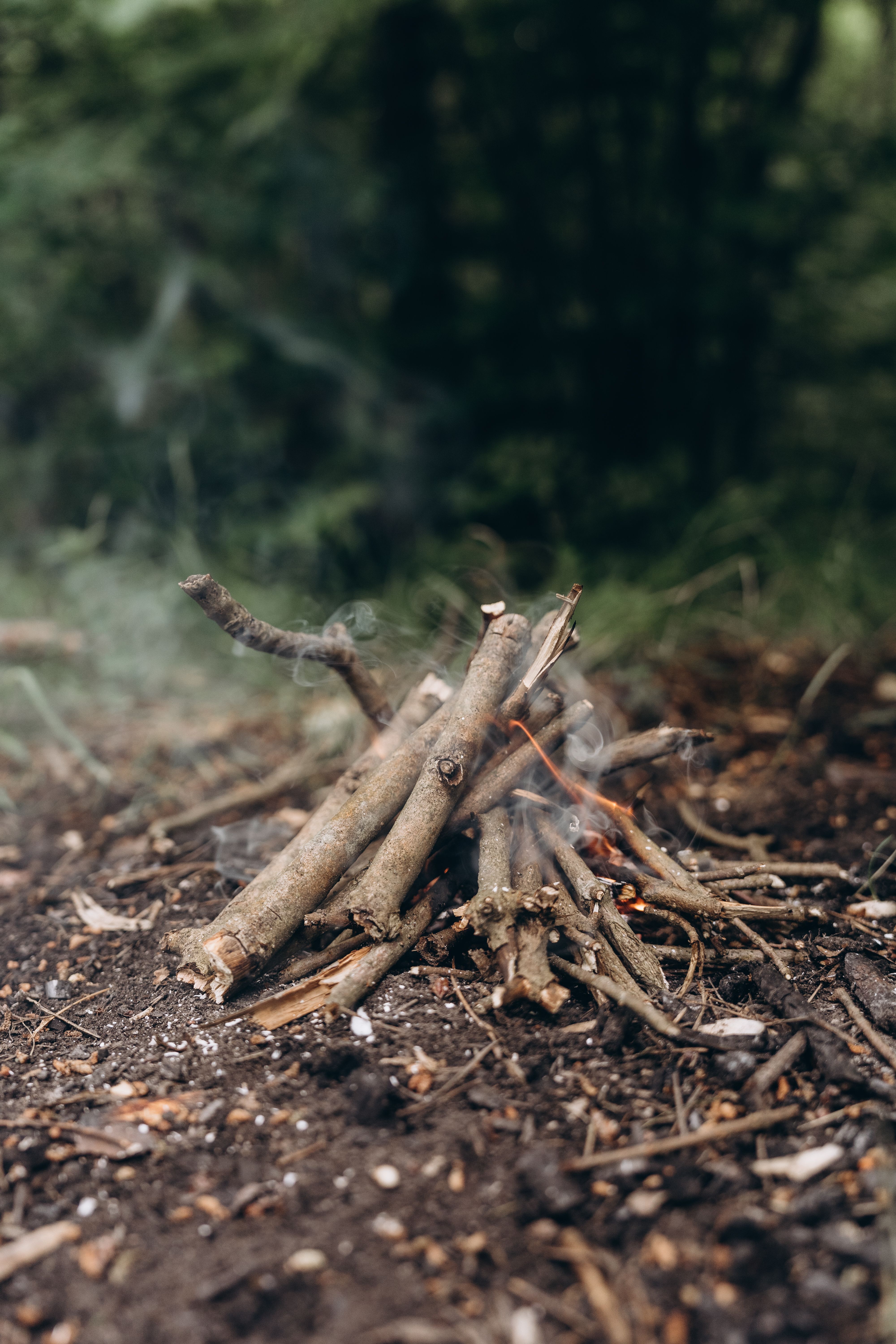 A campfire build in a forest setting with smoke rising from sticks.