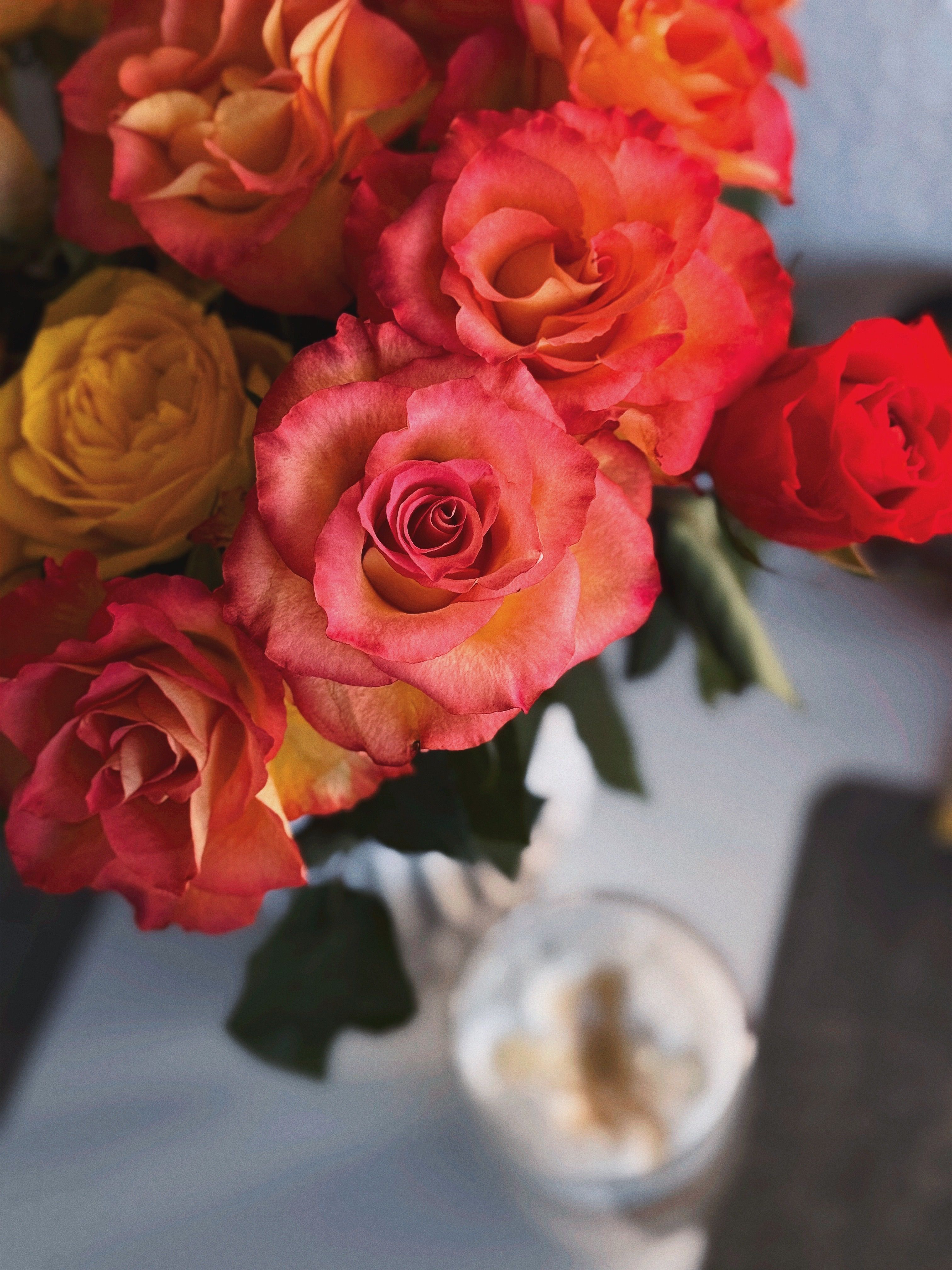 Colorful Bouquet of Vibrant Roses · Free Stock Photo