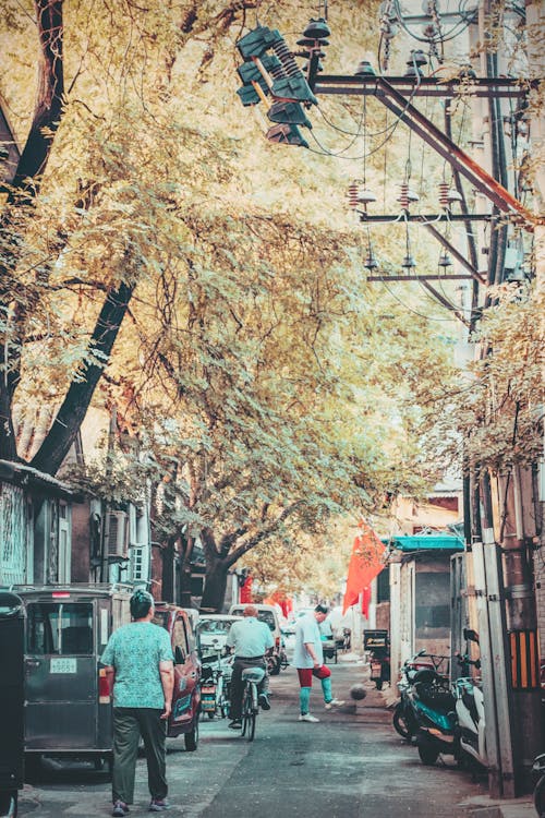 People on Road Beside Trees