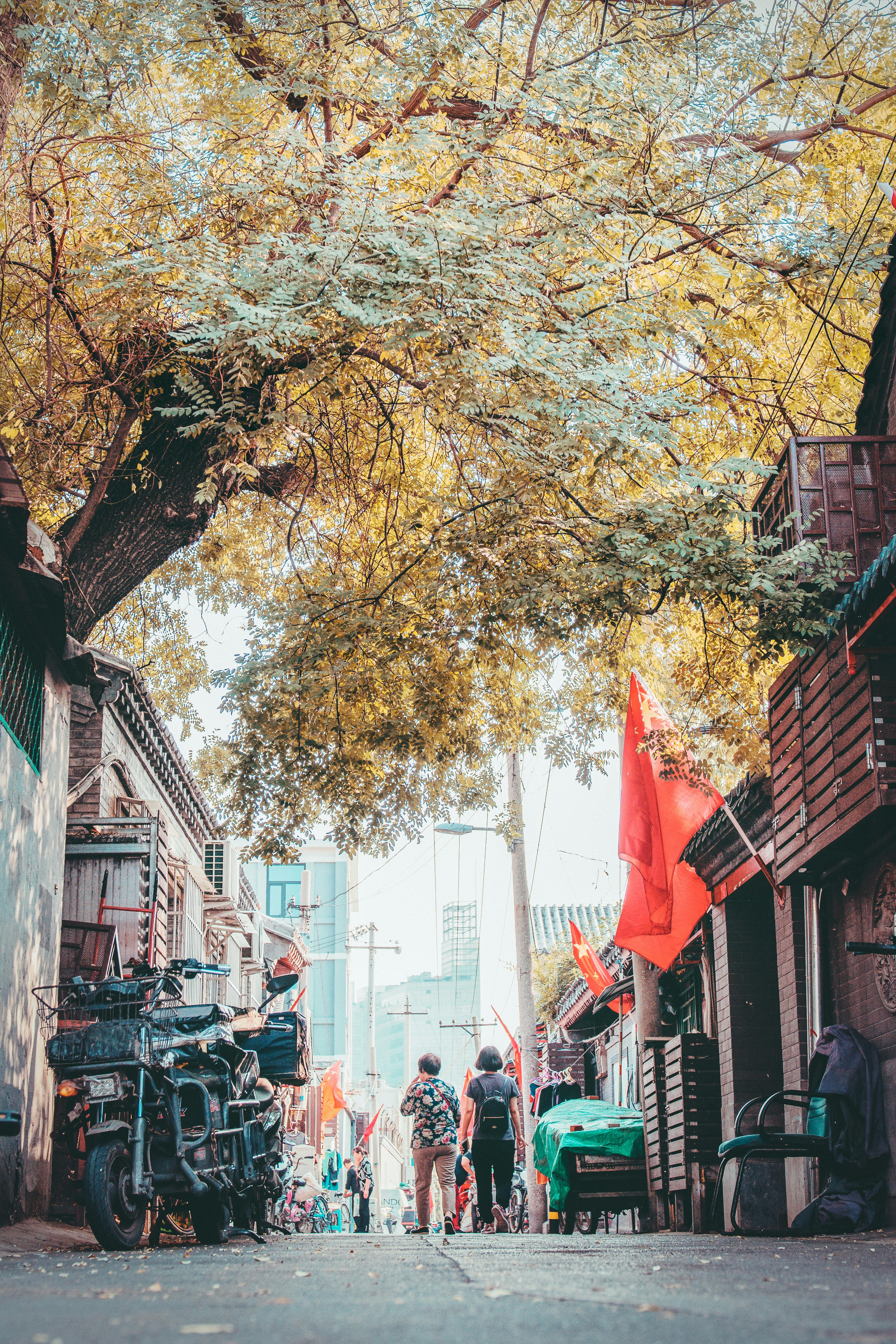 人们漫步在充满活力的北京胡同里，那里有树木和传统建筑