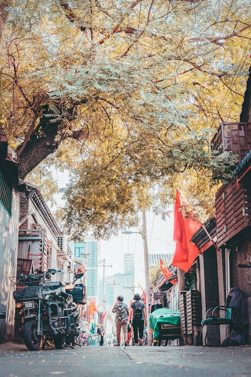 Scooter Noir Garé Près De L'arbre à Feuilles Vertes