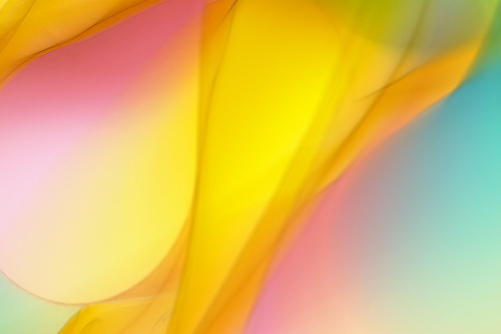 Prism Fog 4K wallpaper