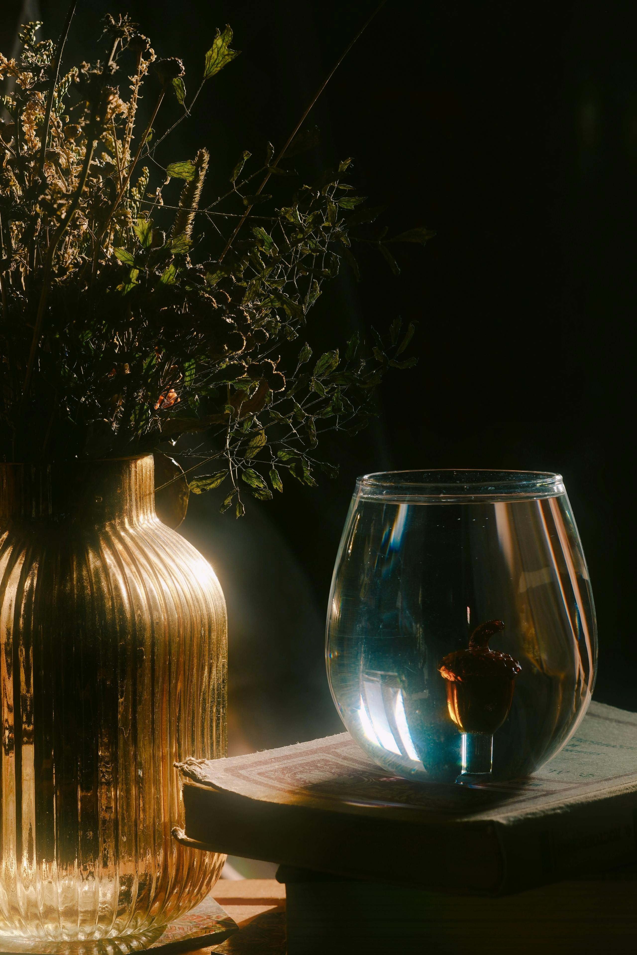 Joanna Trollope, Chronicler of Rural English Life, Dies Aged 82