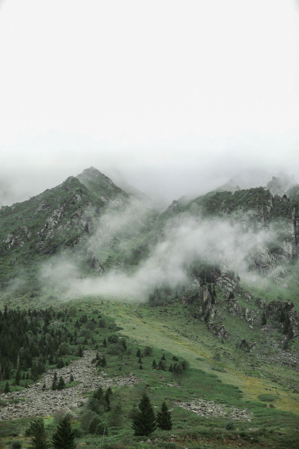 Notes from the valley floor - mountain landscape