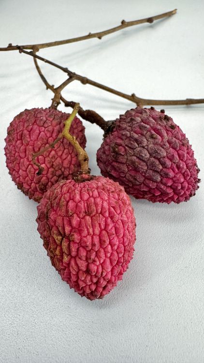 树枝上新鲜荔枝果实的特写 · 免费素材图片