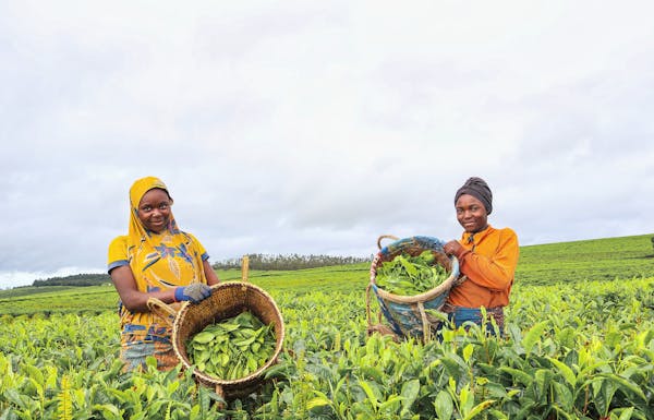 Climate Smart Agribusiness