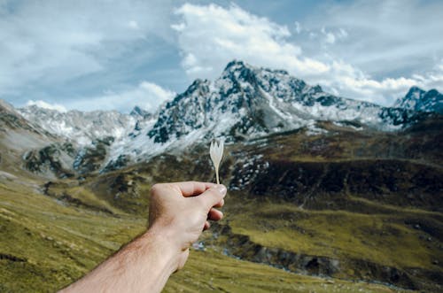 Person Holding White Flower Overlooking Snow-capped Mountain