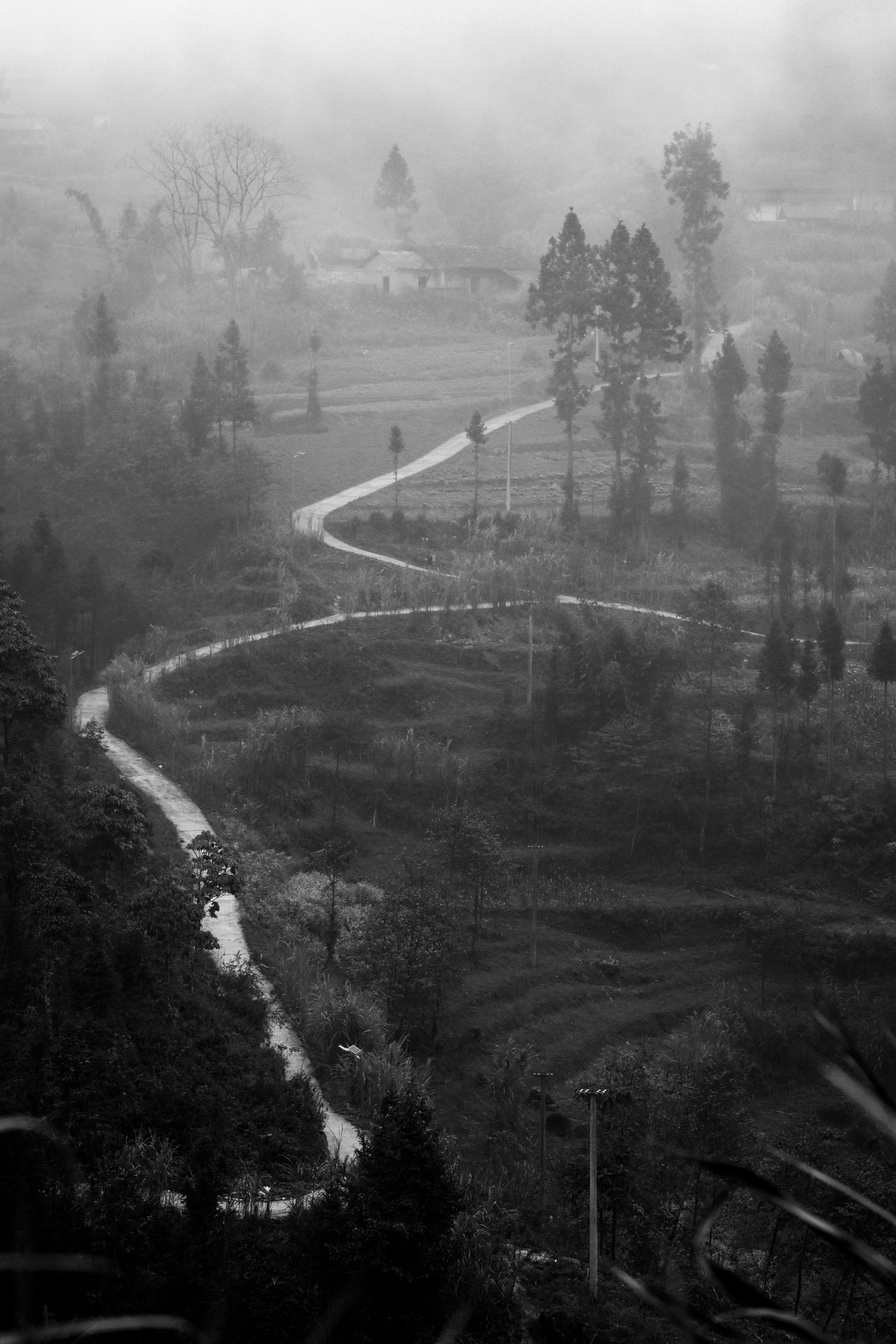 Misty winding road in Ha Giang showing why the road itself is the destination