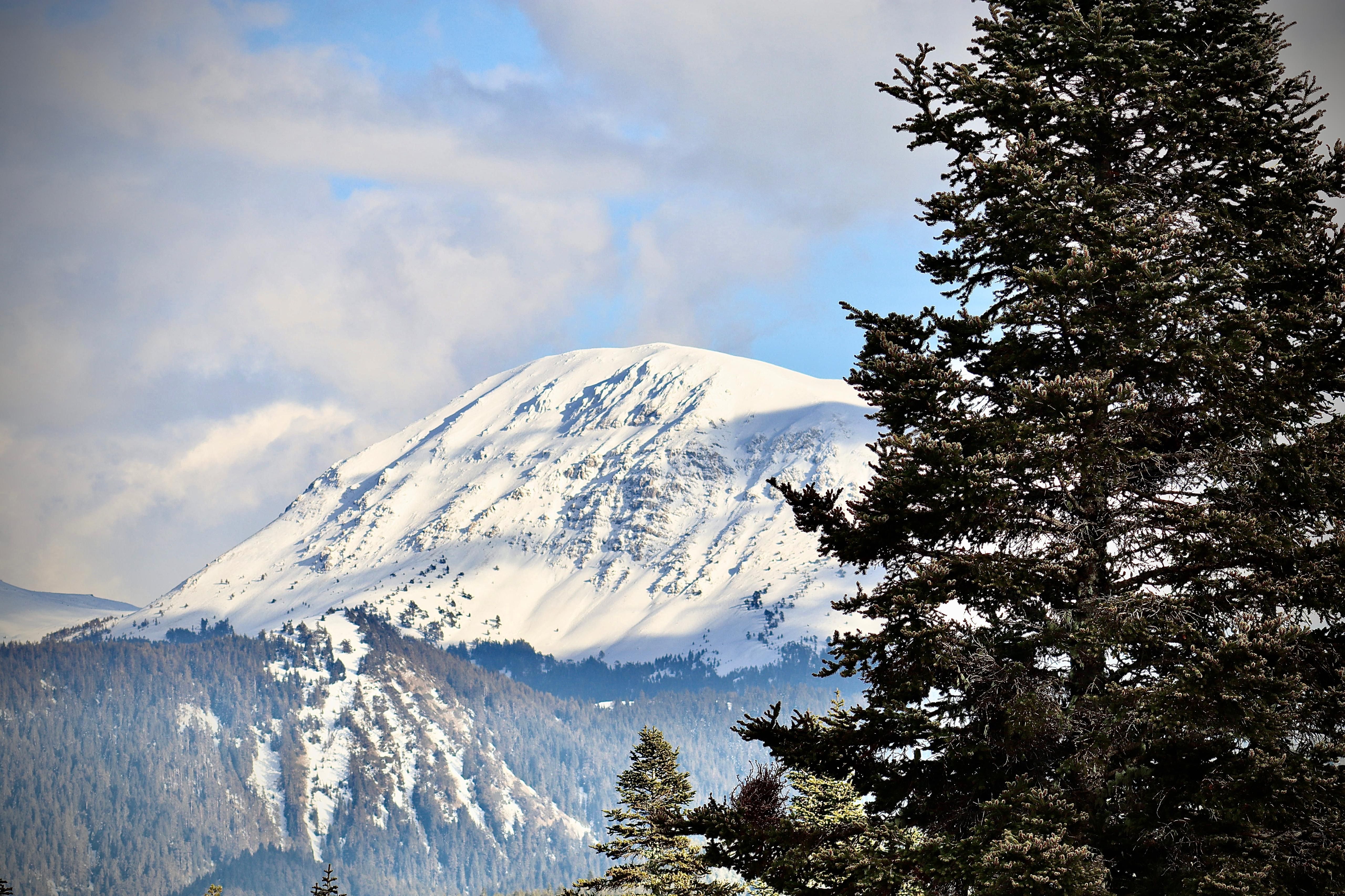 Ilgaz Dağı