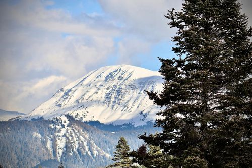 Free Stunning view of snow-covered mountain with evergreen trees in Ilgaz, Türkiye. Stock Photo