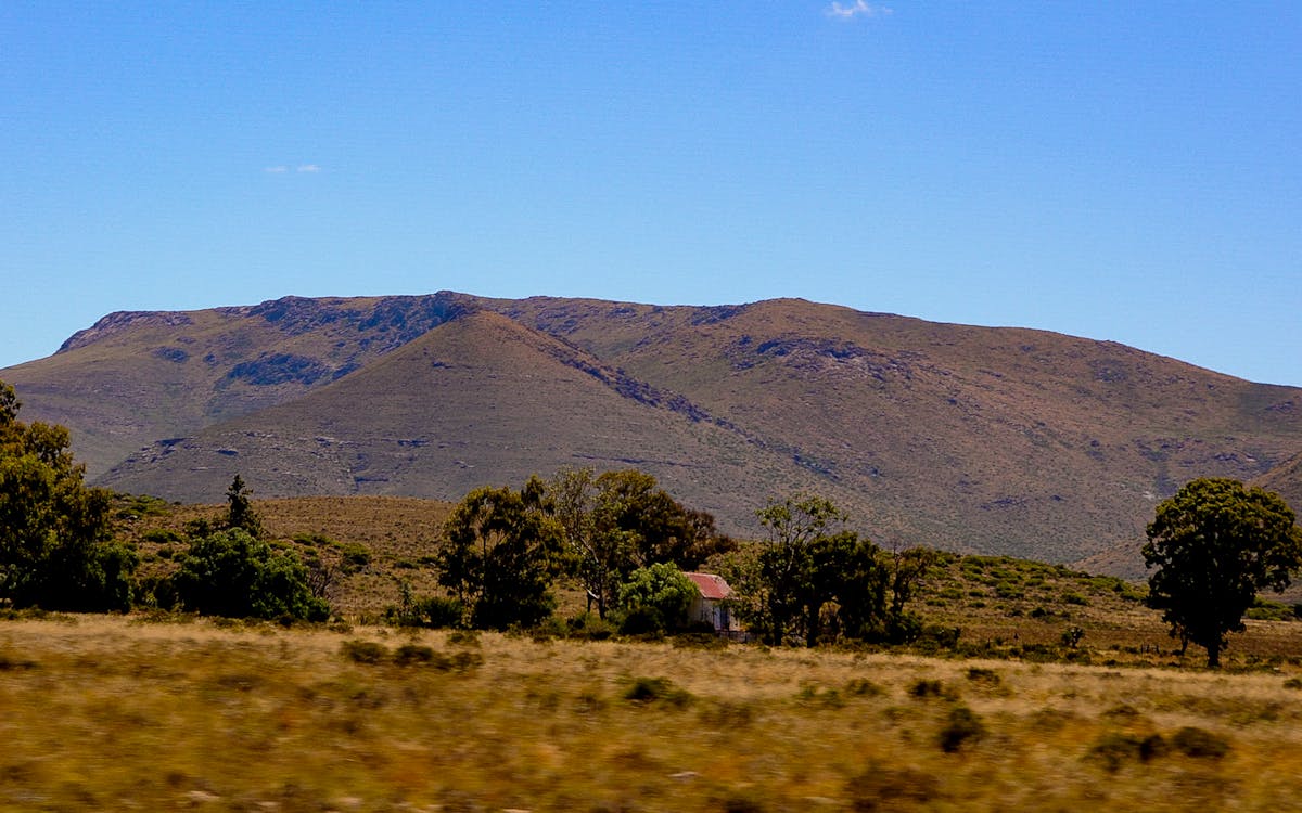 Students participating in an election event