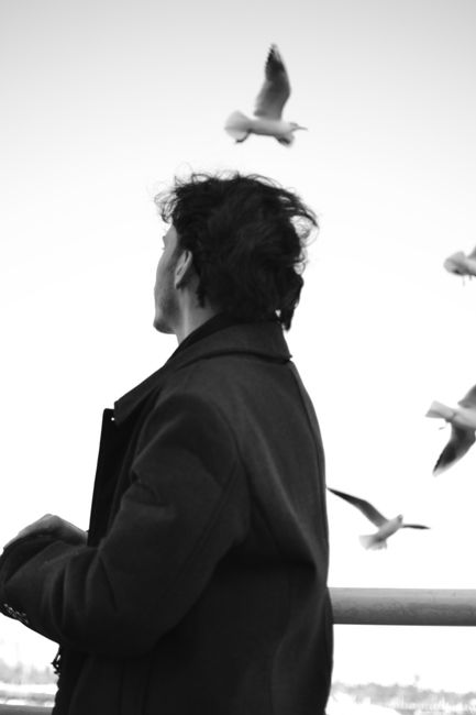 Black and white photo of a person observing seagulls in flight by the seaside.