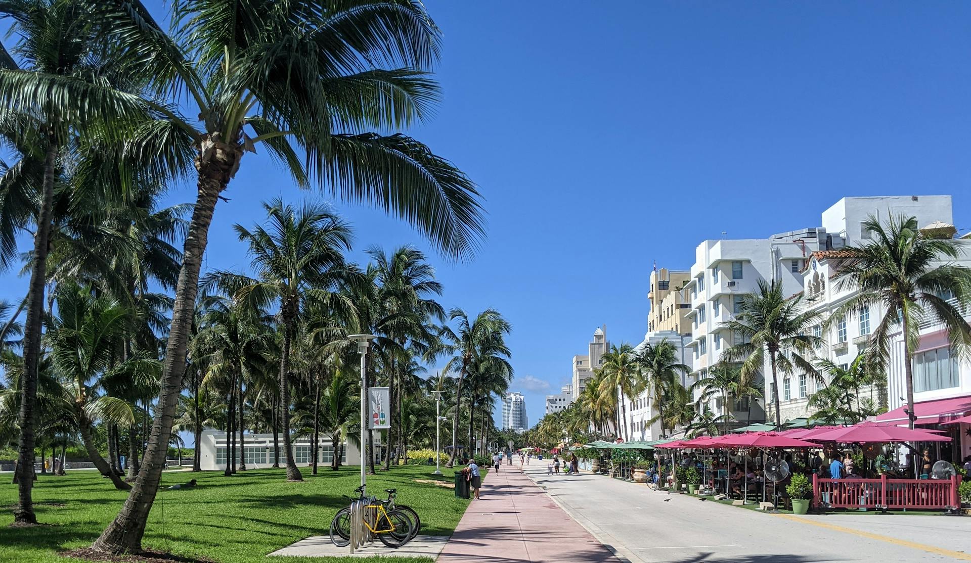 Sunny day at Miami Beach with palm trees, bikes, and vibrant street cafes along the sidewalk.