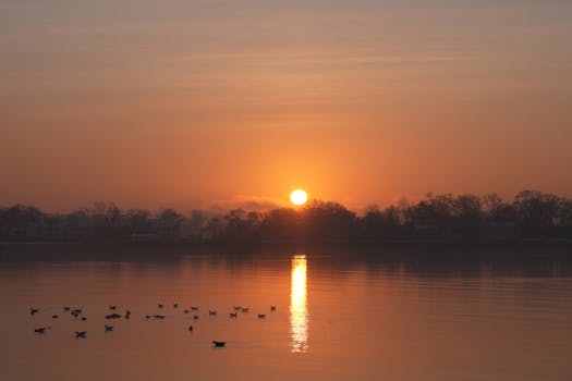 Beautiful winter sunrise over Cove Island Park in Stamford, Connecticut with reflections on the water.