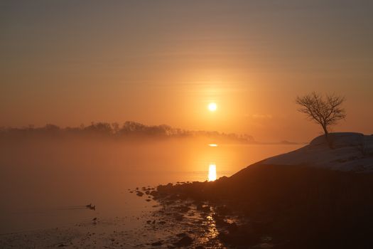 A peaceful winter sunrise with foggy mist at Cove Island Park, Stamford.