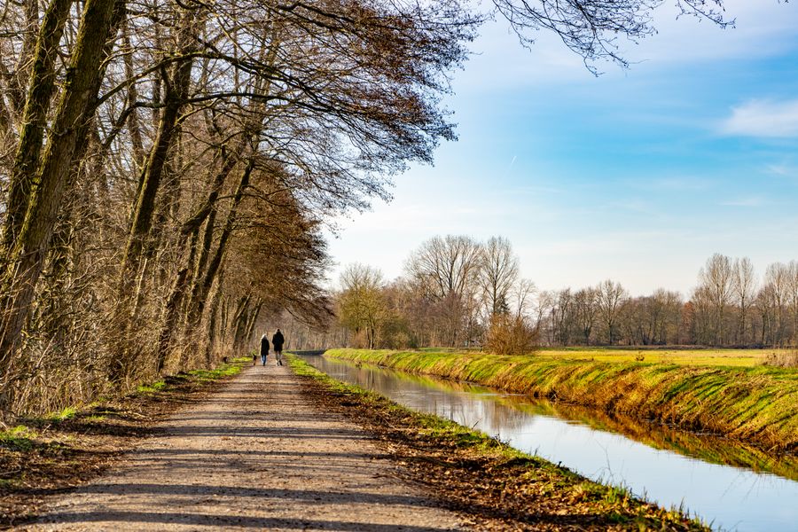 A tranquil scene of a tree-lined pathway beside a canal in Rietberg, Nordrhein-Westfalen, Germany.