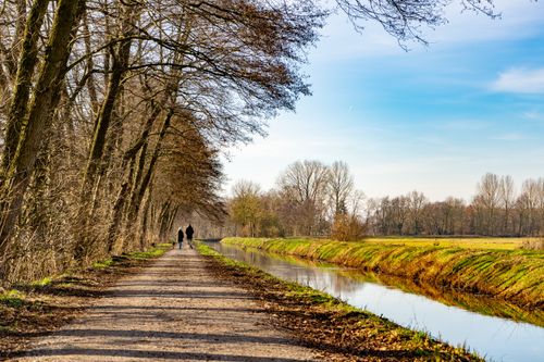 Free A tranquil scene of a tree-lined pathway beside a canal in Rietberg, Nordrhein-Westfalen, Germany. Stock Photo