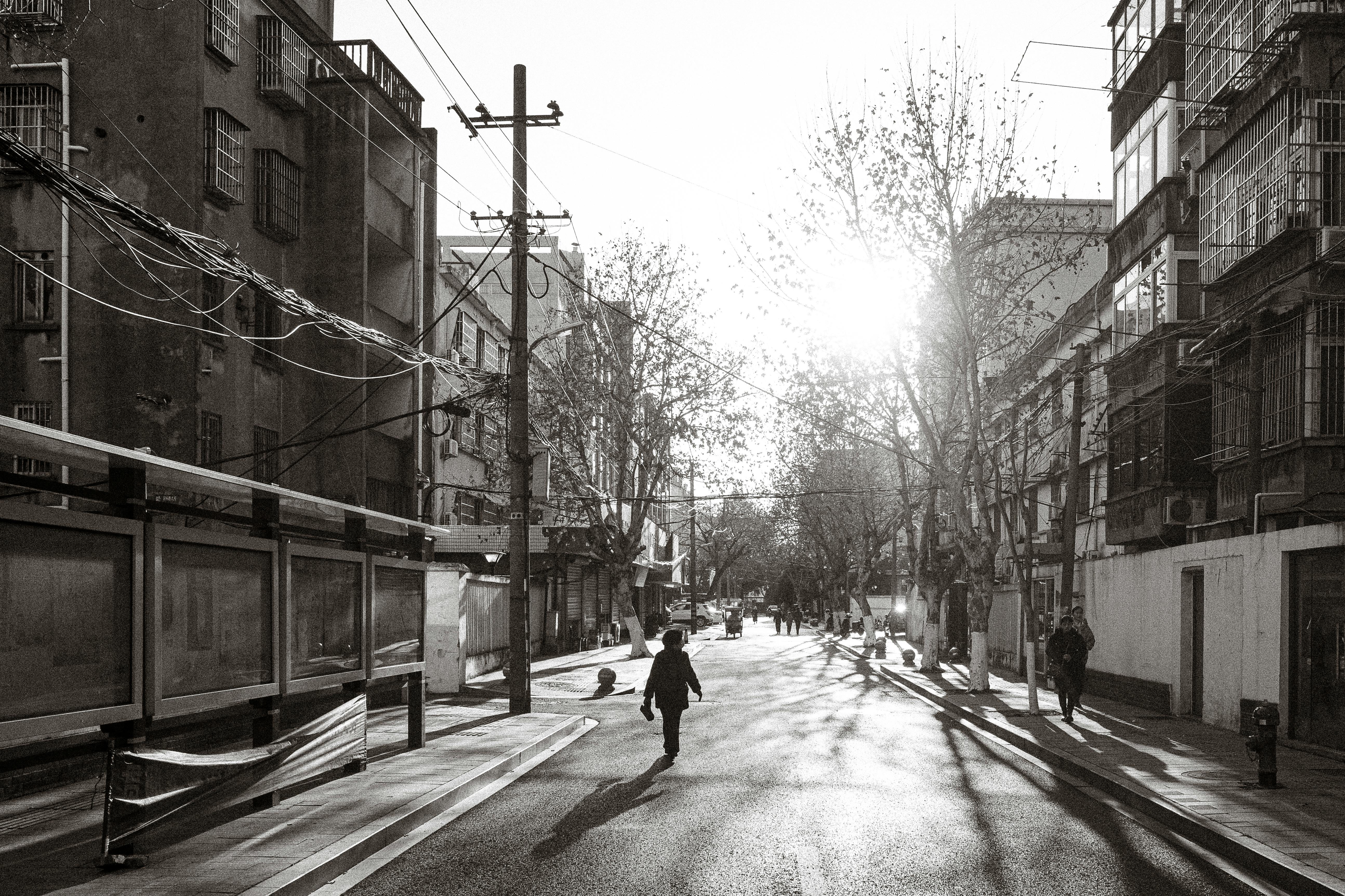 A serene urban street captured in black and white, showcasing morning light and architecture.