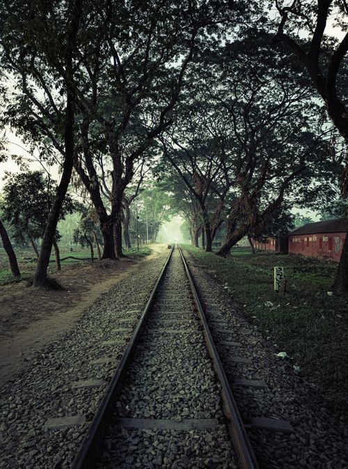 Free A tranquil railway track surrounded by lush trees in a serene countryside setting. Stock Photo