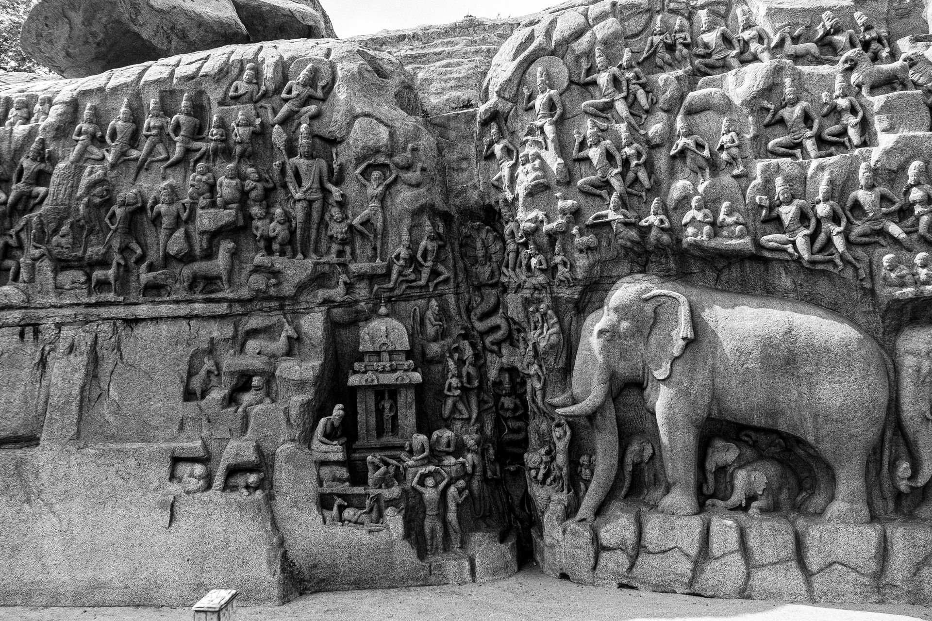 Ancient rock carvings depicting mythological scenes and an elephant in Mahabalipuram, India.