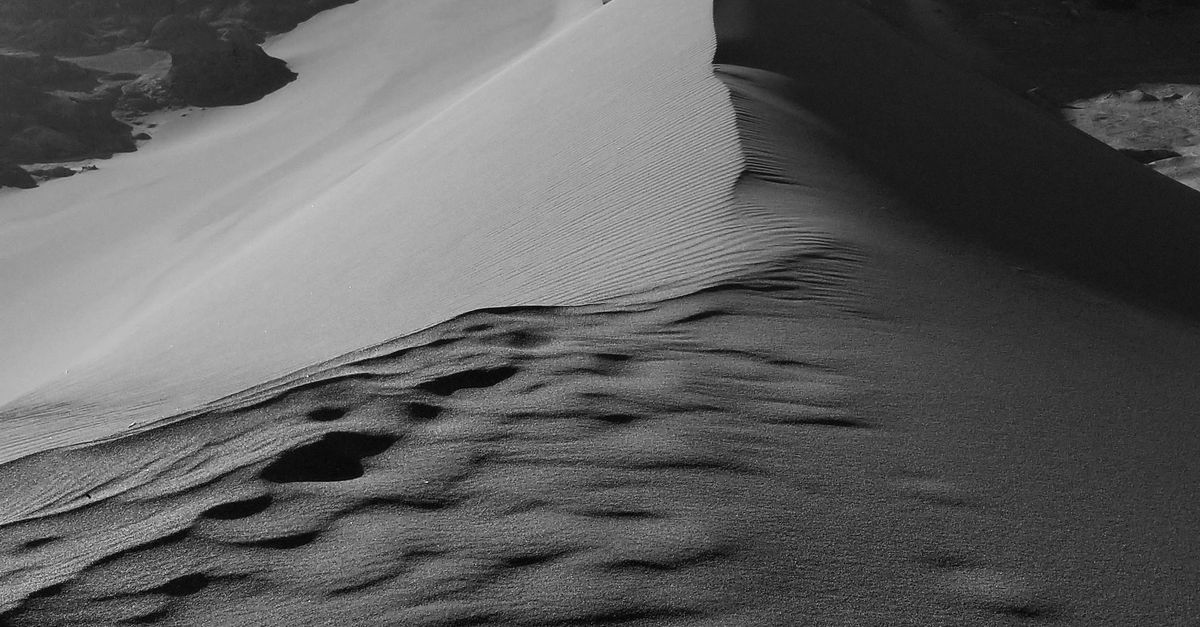 Vida en los desiertos y ambientes extremos: 8 ecosistemas con adaptaciones sorprendentes Vida en los desiertos y ambientes extremos: 8 ecosistemas con adaptaciones sorprendentes