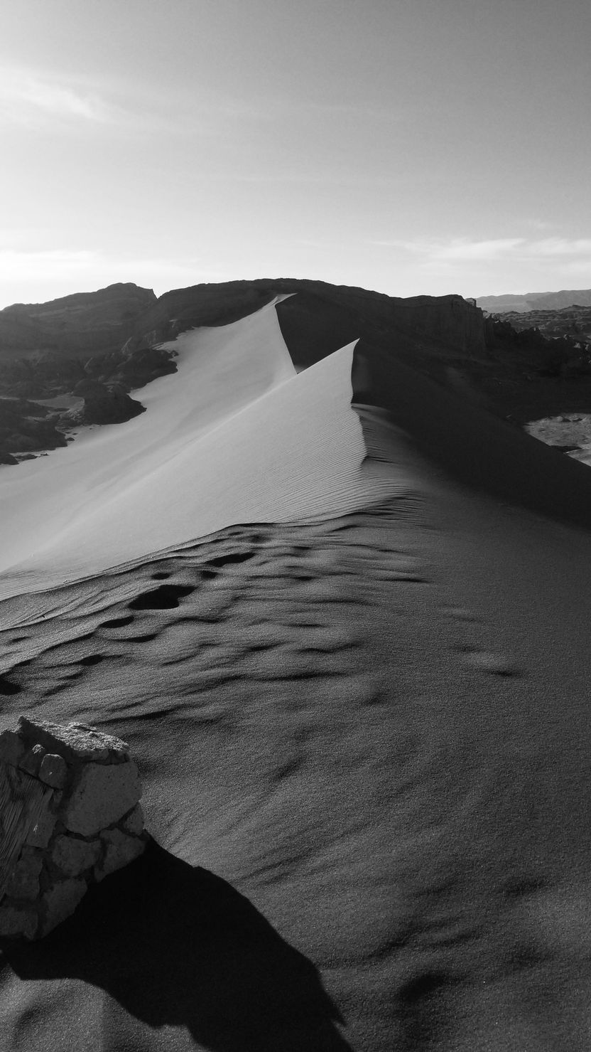 Black and white dune ridge with wind-carved sand — photo by Leo Sacchi on Pexels