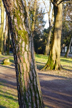 Image by Davide Comunian