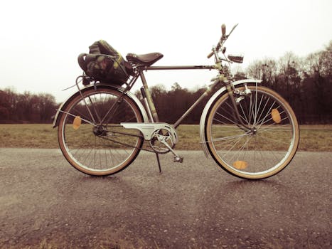 A classic touring bicycle with luggage on an empty countryside road.