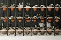 Snow-Covered Potted Plants on Vertical Rack