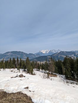 Serene snowy mountain landscape with fir trees, perfect for winter-themed nature scenes.