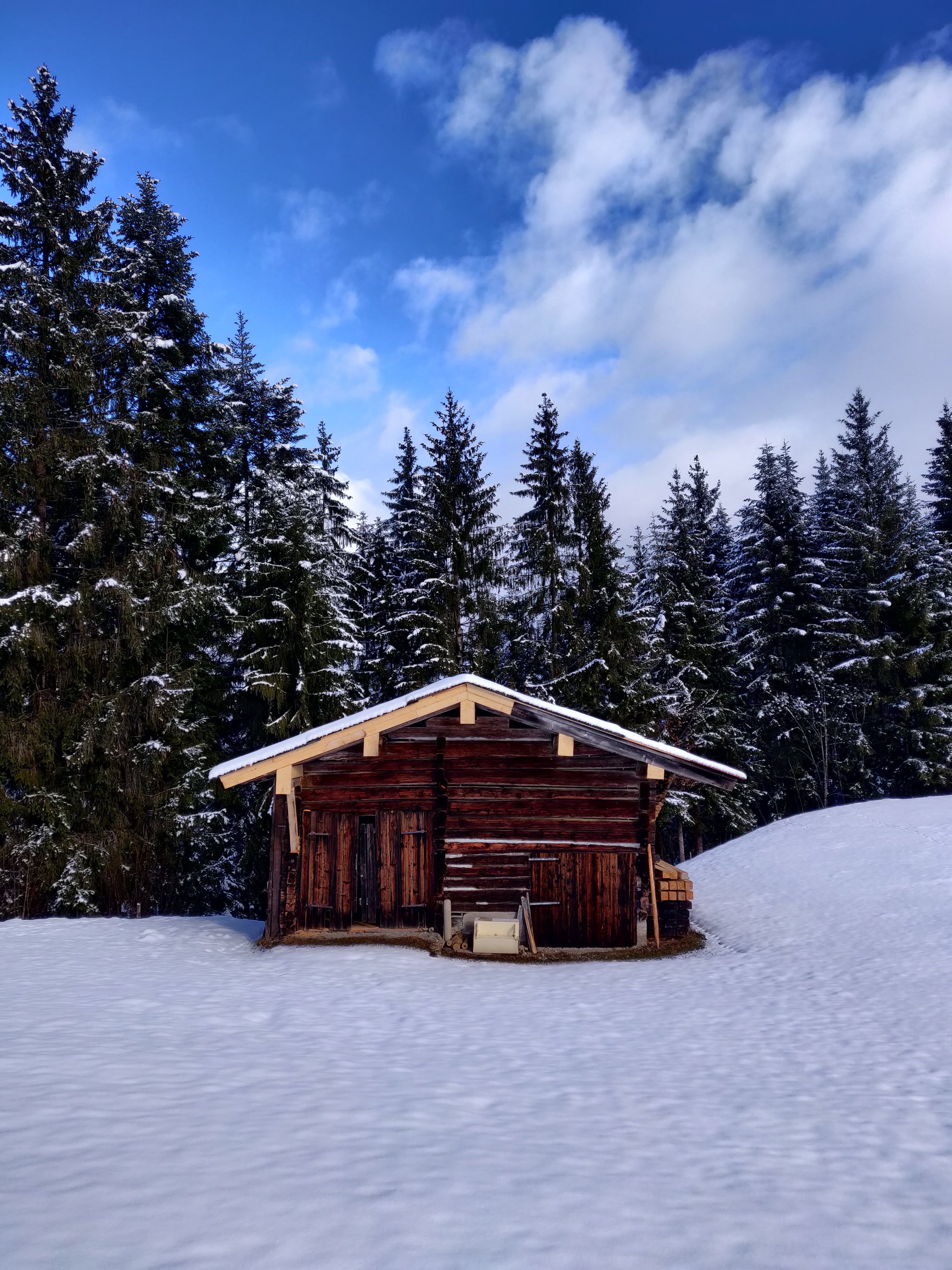 Rustic Cabin in Snowy Forest Landscape · Free Stock Photo