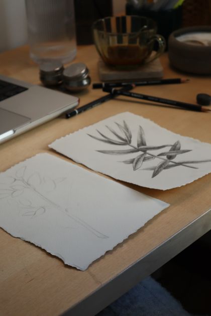 Buyer photo of two botanical plates sketched in graphite — İclal Çapoğlu Cinal on Pexels