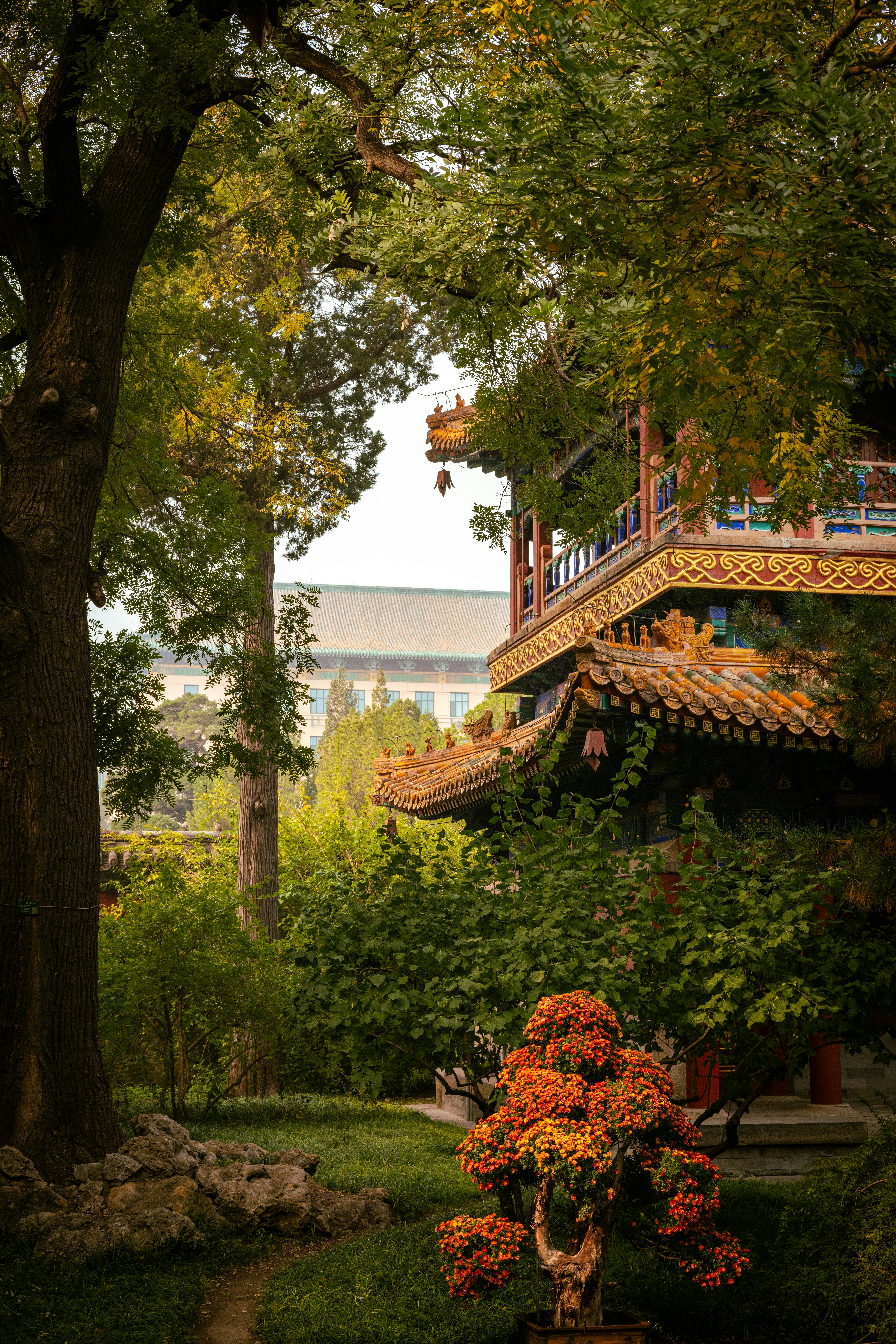 Elegant plate of traditional Beijing cuisine